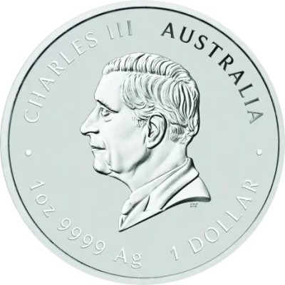 Lunar Snake (2025) - 1 oz - Silber Anlagemünze