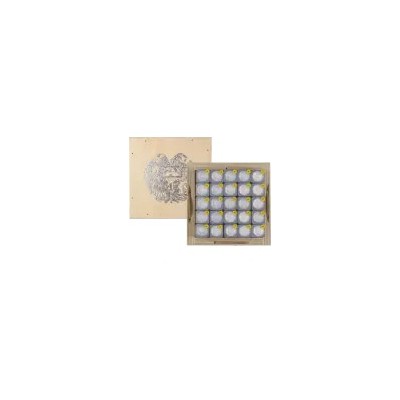 Arche Noah (2025) - 1/4 oz - Silberanlagemünze