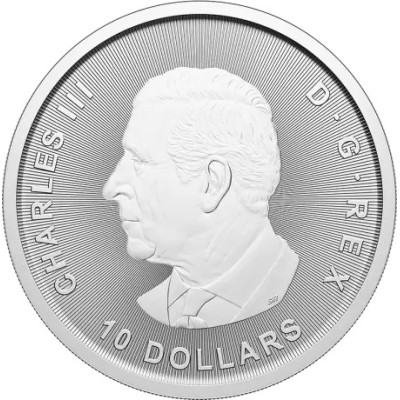 Bull and Bear (2025) - 2 oz - Silberanlagemünze