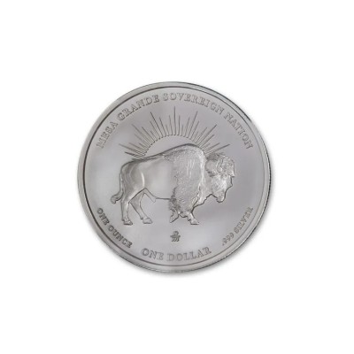 Mesa Grande Native American Bison Dollar (2025) - 1 oz - Silber Sammlermünze