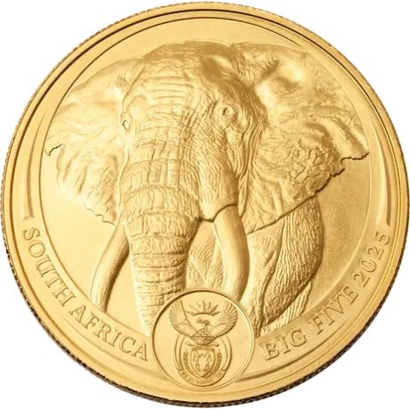 Big Five Elefant (2025) - 1 oz - Goldanlagemünze