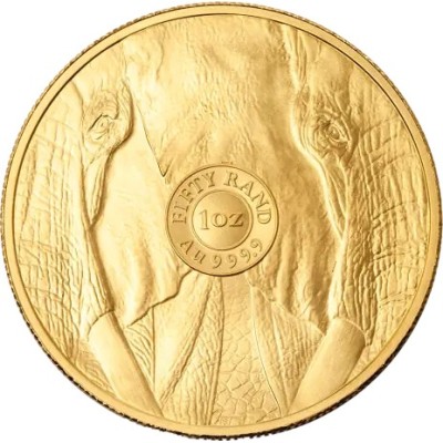 Big Five Elefant (2025) - 1 oz - Goldanlagemünze