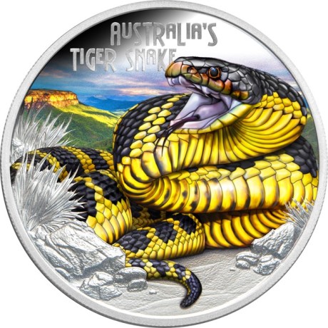 Australische Tigerschlange - 1 Oz Silber Proof Sammlermünze