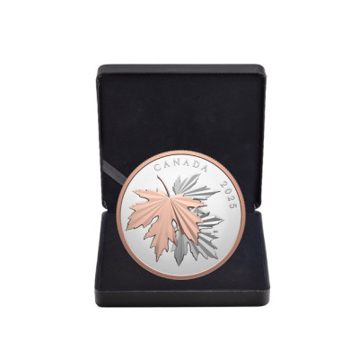 Glänzende Ahornblätter - 10 oz - Silber Sammlermünze