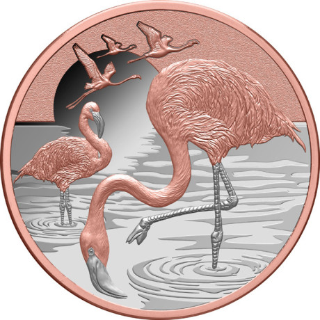 Flamingo (2025) - 1 oz - Silber Sammlermünze