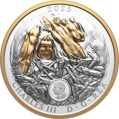 Der Biber (2025) - 100g - Silber Sammlermünze (Lieferung 24.9.2025)