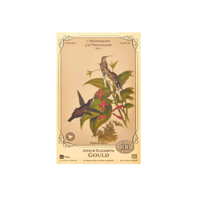 Die Sammlung John und Elizabeth Gould - Kolibris