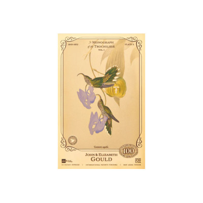 Die Sammlung John und Elizabeth Gould - Kolibris