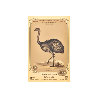 Die John und Elizabeth Gould Aurum - H.M.S. Beagle Sammlung