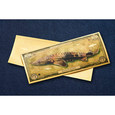 Rock Störe - 24k Gold Bill - Serie I