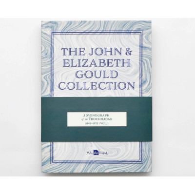 Die Sammlung John und Elizabeth Gould - Kolibris